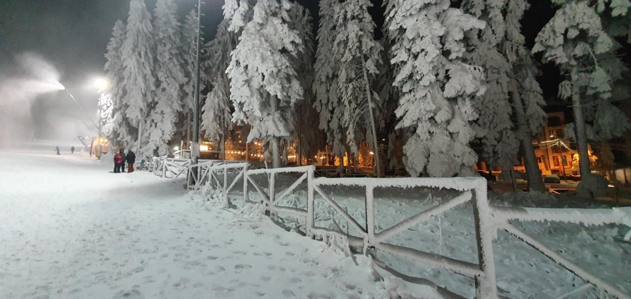Fox Boutique Apartment Borovets Gardens Exterior foto