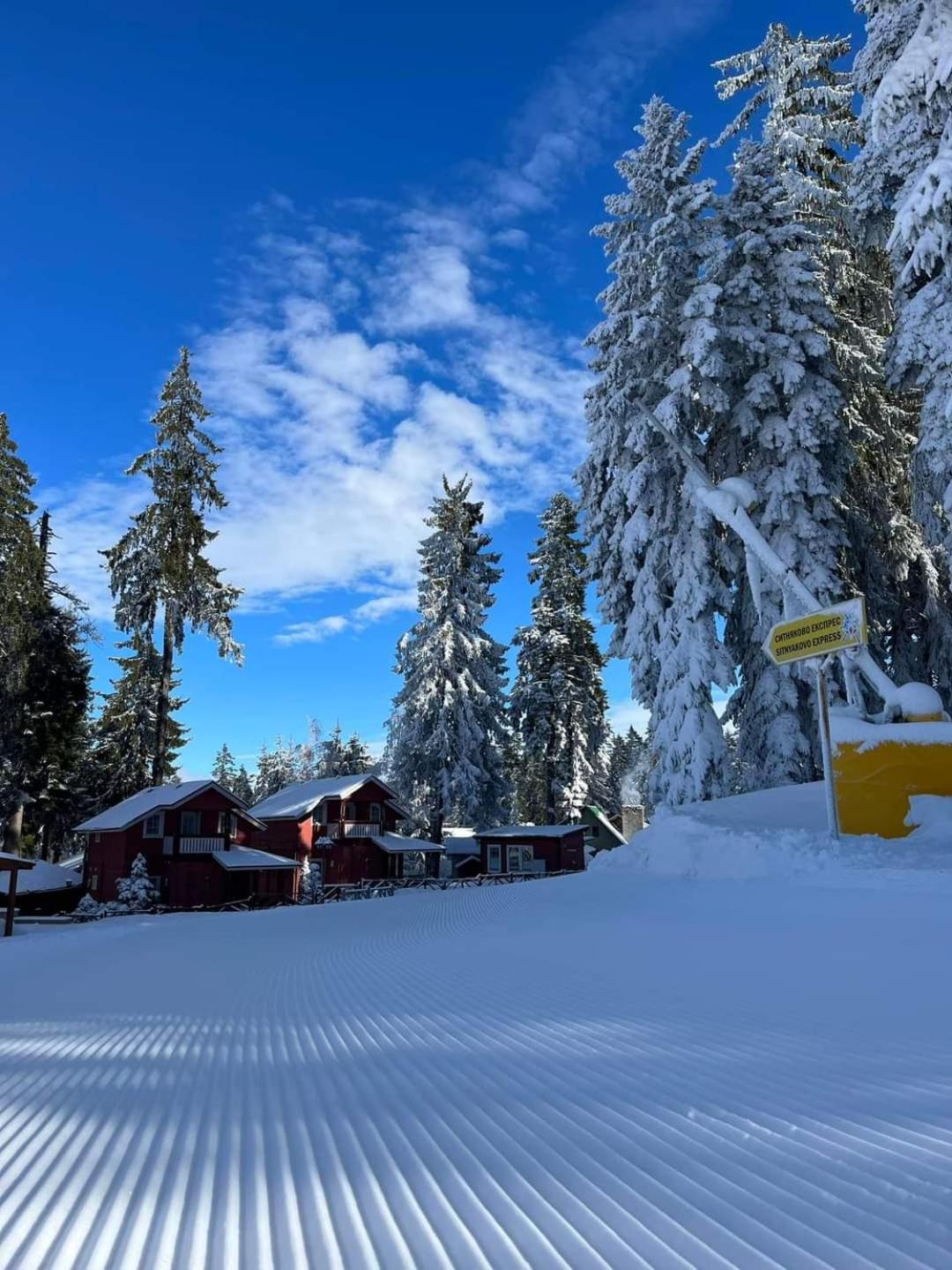 Fox Boutique Apartment Borovets Gardens Exterior foto